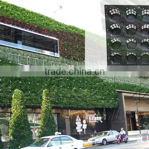 Types of Ornamental Plants Hydroponics Equipment Flowerpot thumbnail-5