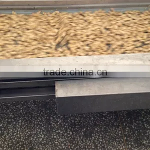 V-packed Cooked IQF Baby Clam Meat thumbnail-5