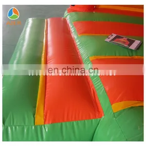 2016 Cute Tiger Themed Inflatable Bouncers for Toddlers thumbnail-6