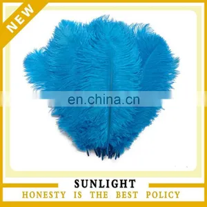 Wholesale High Quality Genuine Ostrich Feathers for Wedding & Event Decor thumbnail-1