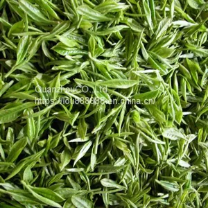 Green Tea thumbnail-4