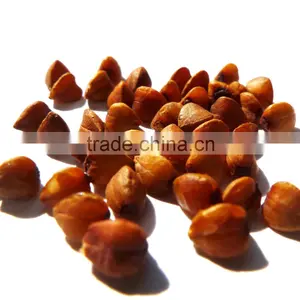 Organic Roasted Buckwheat Kernel thumbnail-2