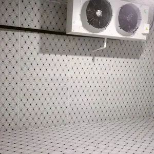 Medium Size Cold Storage,Cold Room,Cold House thumbnail-5