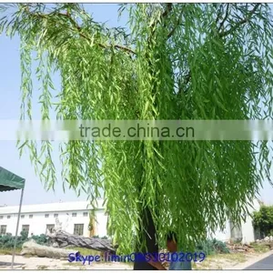 the Evergreen Leaves Artificial Trees Artificial Weeping Willow Trees thumbnail-3