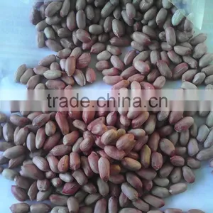 Peanut Kernel;blanched Peanut;peanut Inshell; Fried Peanut;roasted Peanut Inshell thumbnail-1