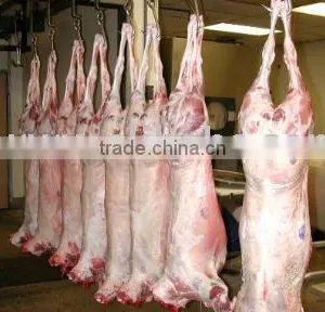 Halal Fresh/Frozen Sheep/Goat/Lamb Meat/Carcass thumbnail-1