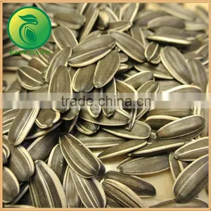 Sunflower Seeds Crude Sunflower Oil thumbnail-2
