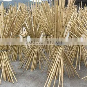 Bamboo Pole thumbnail-1