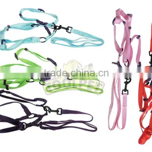 Dog Collars, Leashes, Andharnesses thumbnail-1
