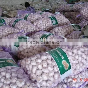 Chinese Normal Garlic thumbnail-3