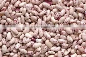 Supply Light Speckel Kidney Beans With Good Quality for Sale thumbnail-1