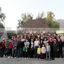 Dezhou Yaxing Steel Tube Equipment Factory company overview - view 3 thumbnail