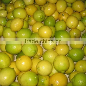 Lime Lemon thumbnail-1