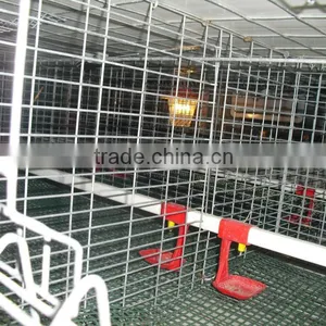 Automatic Poultry Nipple Watering System thumbnail-1