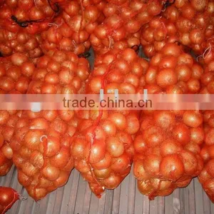 Onion Specification Fresh Wholesales Price thumbnail-5