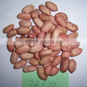 Cheap Price of Peanuts thumbnail-1