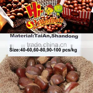 New Crop Fresh Shandong Chestnuts thumbnail-1