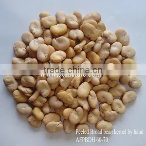 Good Quality Hot Sale Dried Broad Beans thumbnail-4