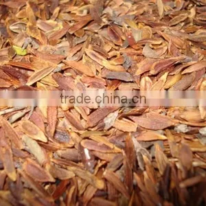 High Quality Lilac Syringa Oblata Winter Daphne Seeds thumbnail-4