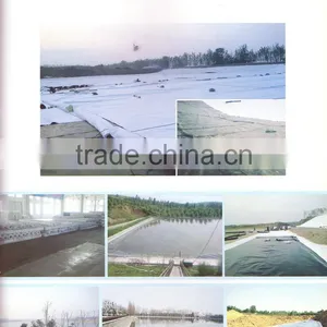 Polyolefin Composite Waterproof Coiled Material thumbnail-4
