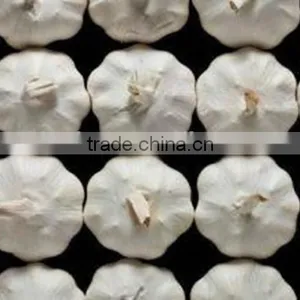 Low Price Buy Chinese Garlic thumbnail-4