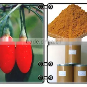 Organic Wolfberry P.e thumbnail-1