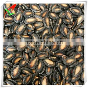 Provide Black Watermelon Seeds Hot Sale New Crop thumbnail-1