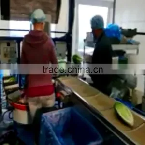 Aubergines Vegetable Packing Machine thumbnail-3