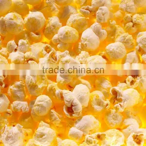 Jinan Eagle Continuous Sweet Flavored Corn Pop Snack Production Line Machine, Maize Popping Machine thumbnail-3