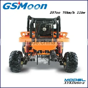 Powerfull China Cheap 250cc EEC go Karts Buggy thumbnail-2