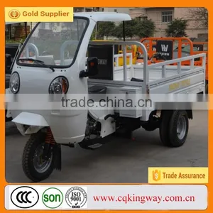 China New 250cc Three Wheel Mini Pedal Motorbikes for Sales thumbnail-3
