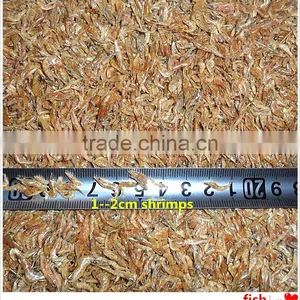 Dried Shrimps Big thumbnail-1