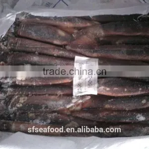 Frozen Lettuce Illex Squid thumbnail-1