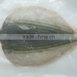 Horse Mackerel thumbnail-1