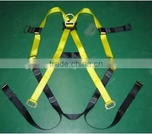 Back D-ring With Harness thumbnail-1