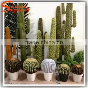 Latest Design Home Decoration Craft Artificial Cactus Plants Make Decoration Plastic Cactus and Plants thumbnail-1