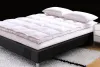 Anhui Wonder Down&feahter Product Co.,ltd. company overview - view 3 thumbnail