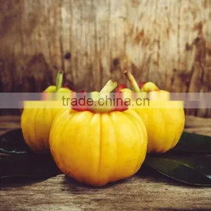 GARCINIA CAMBOGIA EXTRACT thumbnail-2