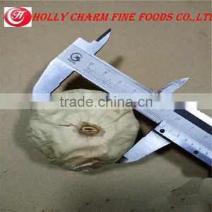 2016 Cheap Wholesale Price Black Garlic thumbnail-3