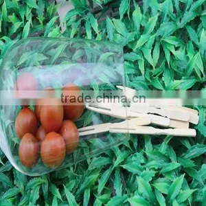 Bamboo Round Fruit Toothpicks thumbnail-1