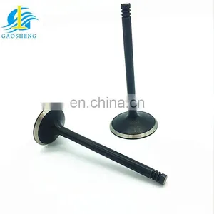 Intake Valve Exhaust Valve for Pit Bike Parts Yinxiang Racing Engine yx 160cc 4 Valve Oil Cooled thumbnail-6