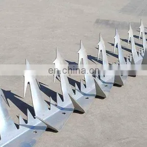 Hot Dipped Galvanized Anti Wall Climbing Spikes Wall Spikes Razor Barbed Wire Fence Sale thumbnail-4
