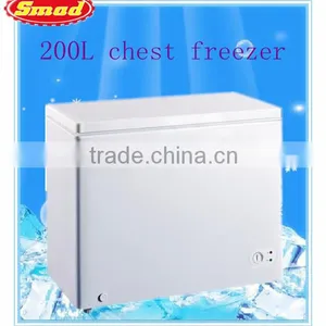 Ice Cream Solid Door Chiller 200L thumbnail-1