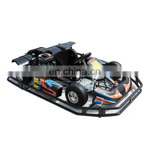 Popular go Karting for Kids and Adult Race Car Hot go Karts for Sale thumbnail-1