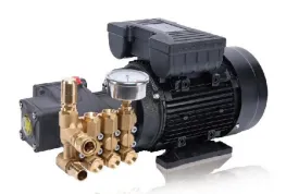 Electric High Pressure Triplex Plunger Pump Motor Cleaner Electric Motor High Pressure Cleaning Cleaner thumbnail-1
