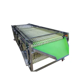Stainless Steel Fruit Sorting Machine for Sale thumbnail-2