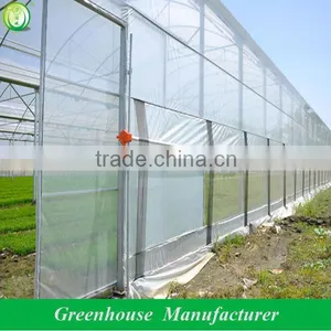 Plastic to Cover Greenhouses thumbnail-1