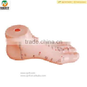 High Quality Human Foot Chinese Acupuncture Manikin 12cm thumbnail-1