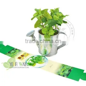 Wooden Box Mini Plant thumbnail-3