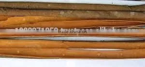 CINNAMON STICK thumbnail-2